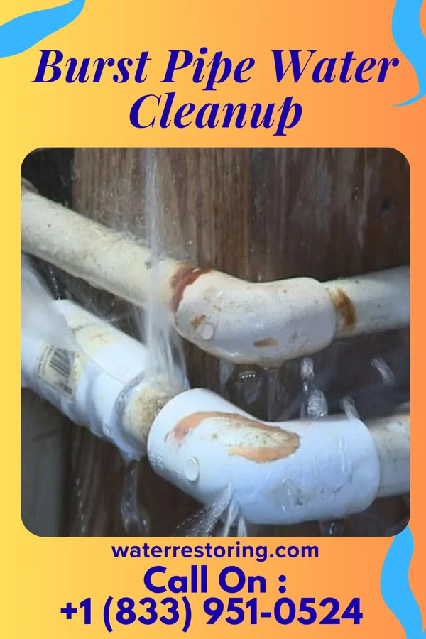 Burst Pipe Water Cleanup in Flat Rock, NC