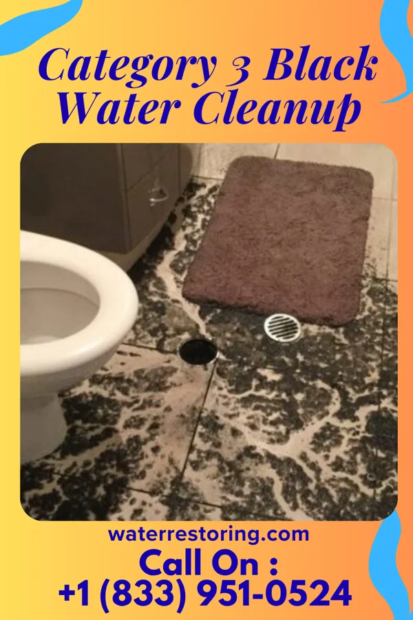 Category 3 Black Water Cleanup in Flat Rock, NC