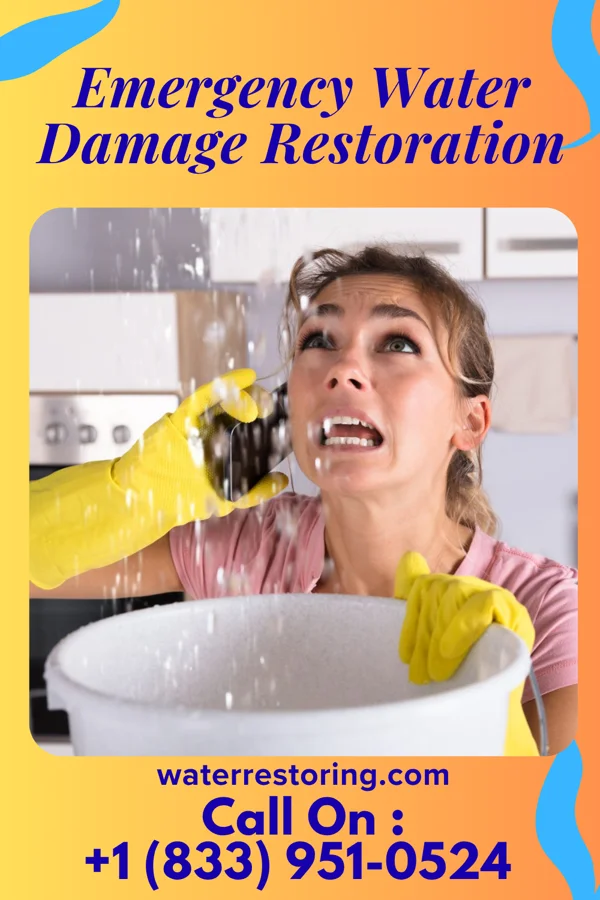 Emergency Water Damage Restoration in Flat Rock, NC