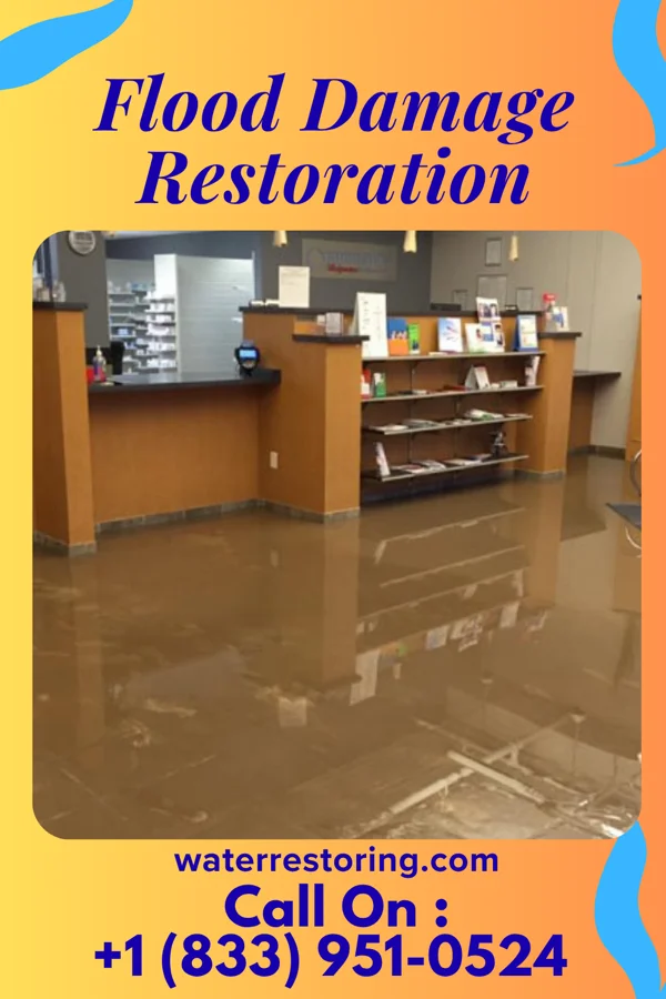 Flood Damage Restoration in Flat Rock, NC