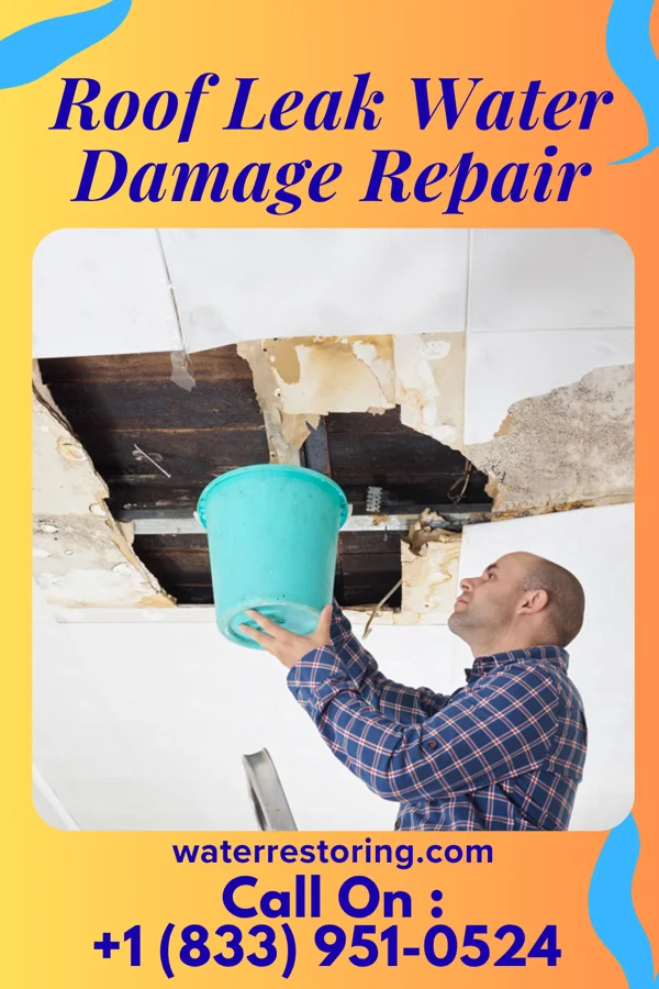 Roof Leak Water Damage Repair in Flat Rock, NC