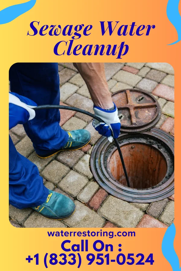 Sewage Water Cleanup in Flat Rock, NC
