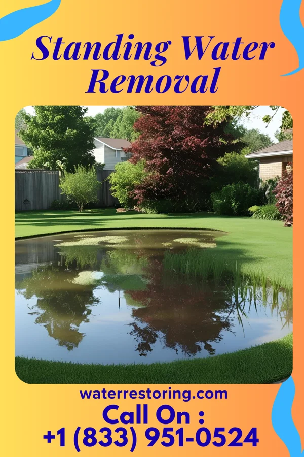 Standing Water Removal in Flat Rock, NC